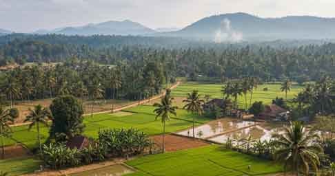 Fair Value of Land on IGR Kerala Portal