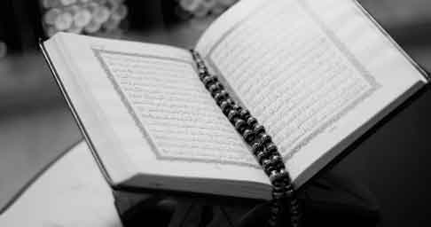 Learn Arabic Language Offline App – Download